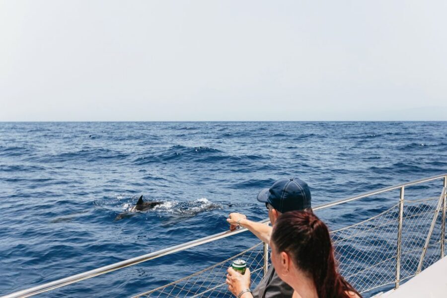 Costa Adeje: Whale Watching Catamaran Tour with Drinks - The 2-hour vs 3-hour choice: what changes and what doesn’t