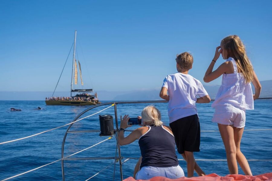 Costa Adeje: Whale Watching Cruise - The Live Commentary and Responsible Watching Piece