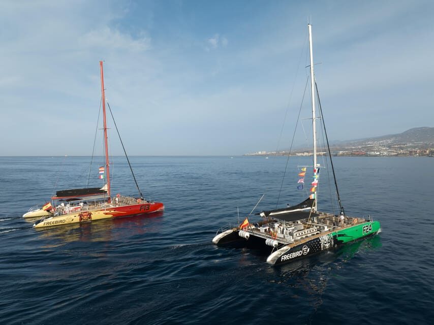 Costa Adeje: Whale Watching Cruise - The Included Swim Stop: Calm Bay Time and What to Bring