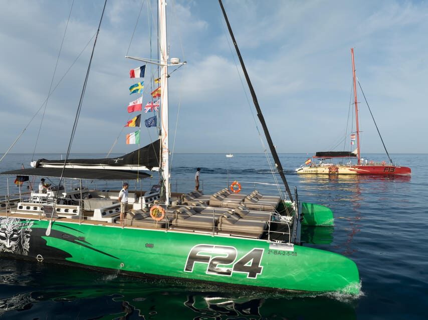 Costa Adeje: Whale Watching Cruise - The Small Logistical Details That Can Make or Break Your Day