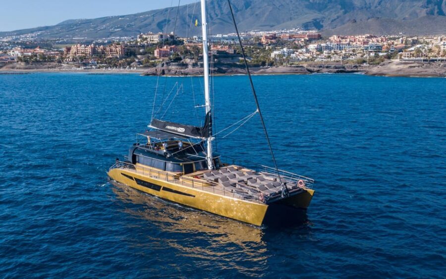 Costa Adeje: Whale Watching Cruise - The 3-Hour Catamaran Ride: What the Time Budget Buys You