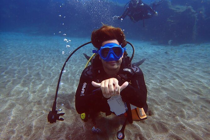 Discover beginner diving in Tenerife - Meeting in Abades: Where Your 2.5-Hour Lesson Starts