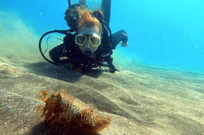 Discover beginner diving in Tenerife - Your First Underwater Swim in Abades: Fish, Color, and Calm Goals