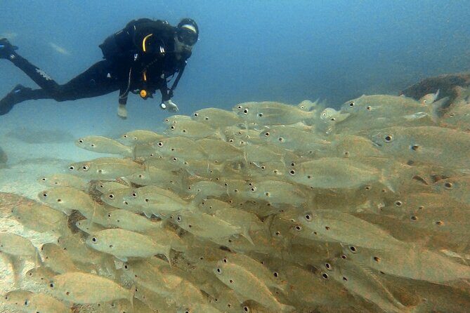 Discover beginner diving in Tenerife - Why the 11-Meter Limit Is Such a Big Deal for Beginners