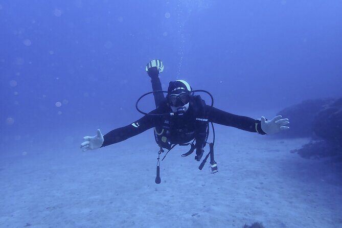 Discover Scuba Diving . First Experience underwater - Key highlights worth your attention
