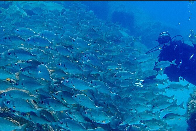 Discover Scuba Diving . First Experience underwater - 3 hours on Tenerife: what to expect time-wise