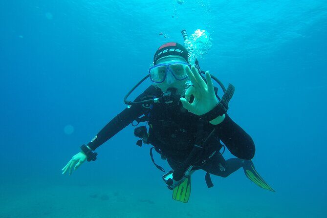 Discover Scuba Diving . First Experience underwater - Price of $113.84: is it good value?