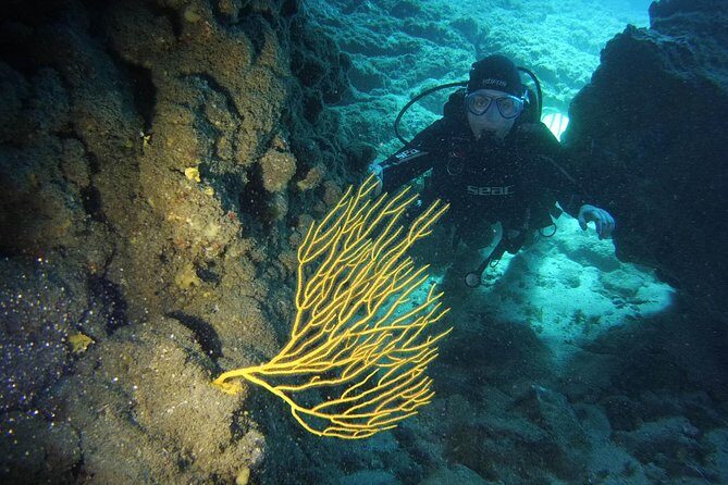 DISCOVER SCUBA DIVING - First step to your certification - Key Things You’ll Notice