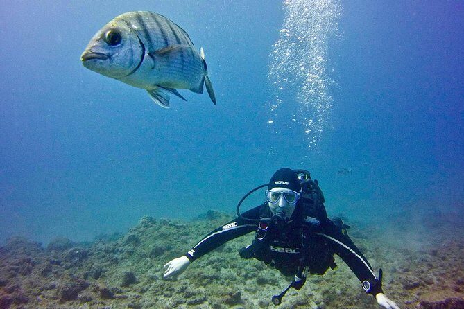 DISCOVER SCUBA DIVING - First step to your certification - Getting the Gear Right: What’s Included and Why It Matters