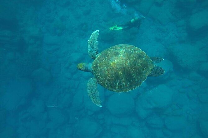 Discover Scuba Diving in Tenerife - Key things I think are especially good