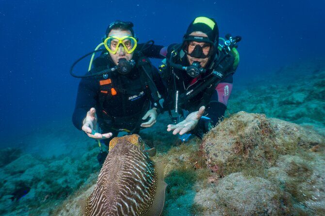 Discover Scuba Diving, Playa de las Americas - The Aqua-Marina Start: Gear Setup and a Real Briefing