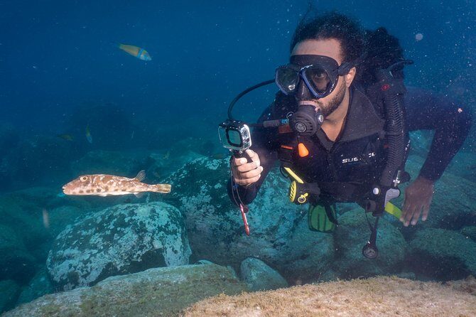 Discover Scuba Diving, Playa de las Americas - Equipment, Support, and Safety: What the Experience Requires From You