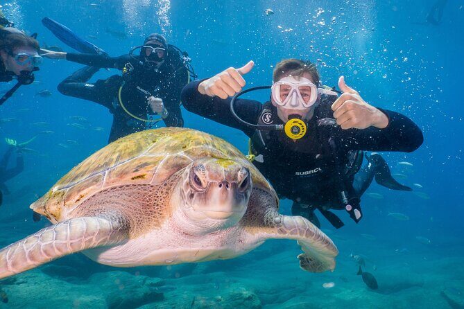Discover Scuba Diving program: shore + boat dives - Key things to know before you go