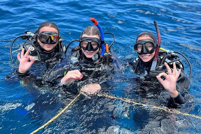 Discover Scuba Diving - Try it for the first time! - What Makes Try-Scuba in Tenerife Worth Your Time?