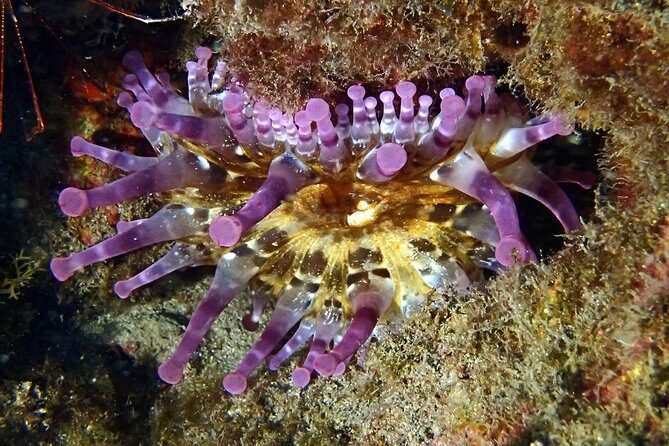Discover Scuba Diving - Try it for the first time! - Instructor-to-Student Ratio: Why This Matters for First-Timers