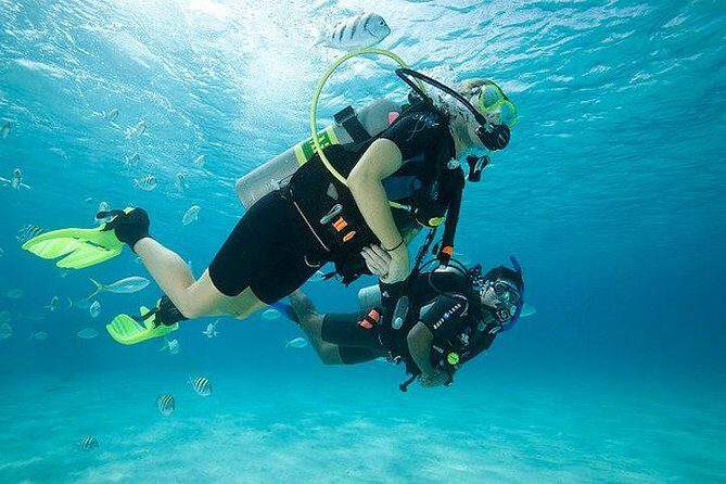 Discover Scuba Diving with two dives in the Ocean in Tenerife with Transfers - Key things I’d bookmark before you go