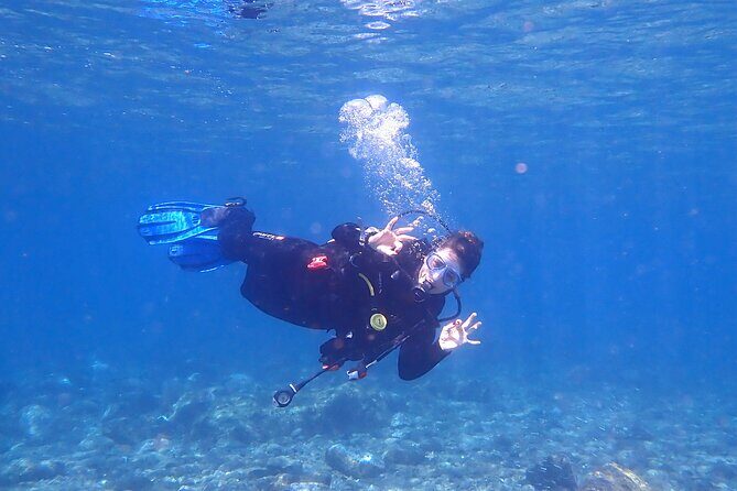 Dives Packages with Transfers in Tenerife - Hotel Pickup, Then Straight Toward the Sea