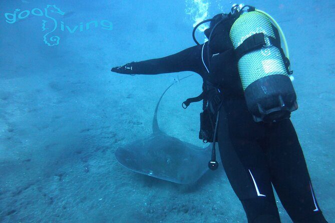 Dives Packages with Transfers in Tenerife - How the 9:00am Day Actually Flows