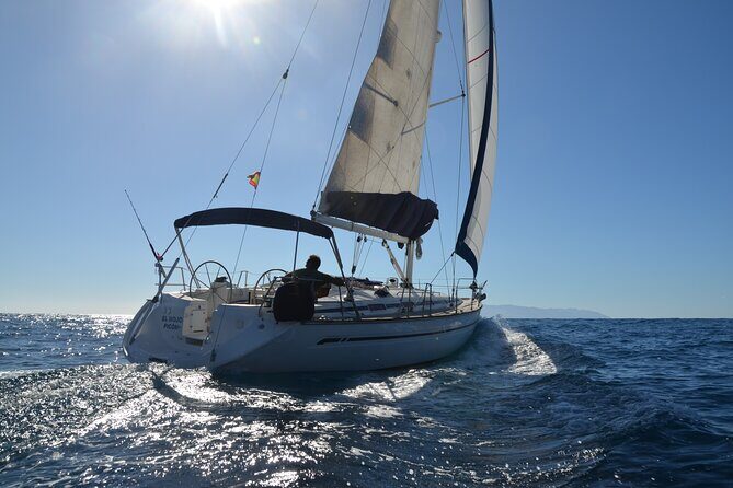 Dolphin and Whale Sailing Tour in Los Gigantes - Key highlights worth your attention