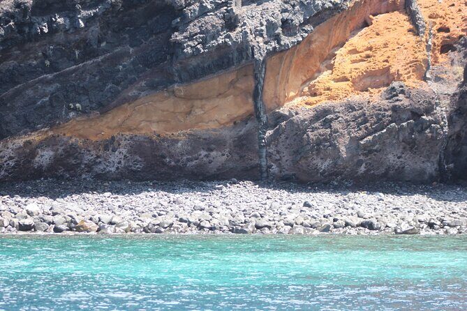 Dolphin and Whale Sailing Tour in Los Gigantes - The Bavaria 44 vibe: intimate, stable, and practical