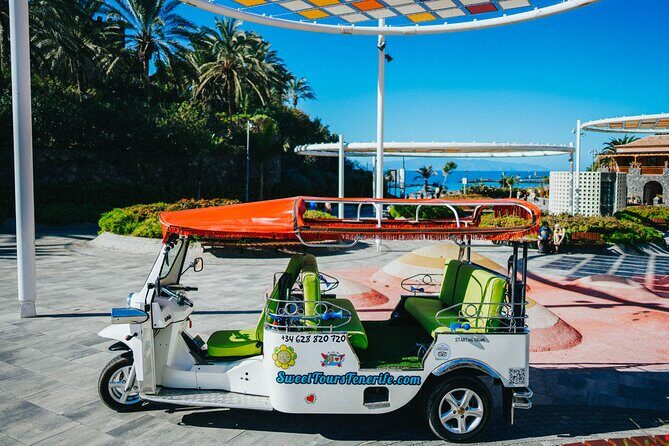 Double Tuk Tuk Tour in Costa Adeje - Key Things I’d Pay Attention To
