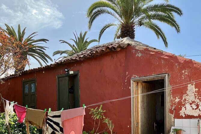 Eco banana farm Tour - Who should book this eco banana farm tour