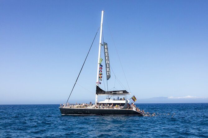 Exclusive Freebird Catamaran Whale & Dolphin to Masca From South - Why this 4-hour catamaran beats a rushed day trip