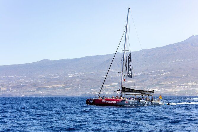 Exclusive Freebird Catamaran Whale & Dolphin to Masca From South - Dolphin and pilot whale spotting: how to play it smart