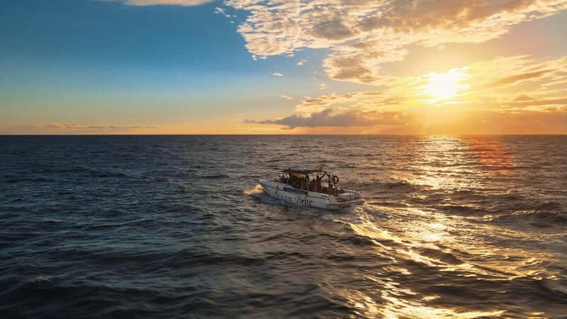 Excursion to see the whales - 3 Hours - The 3-hour plan: where you start, what you do, and how the time flows