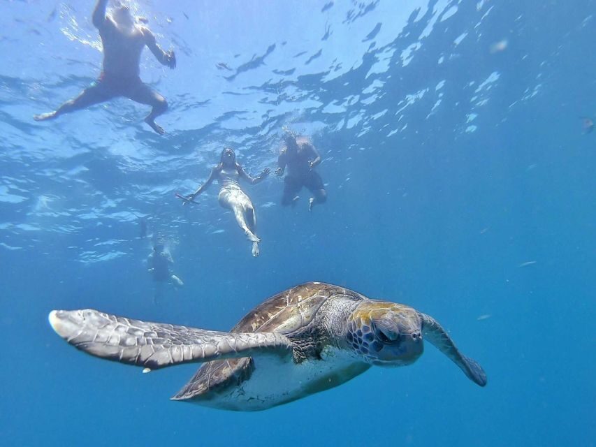 Explore Tenerife with the Snorkel Kit - Key highlights I’d prioritize before you book