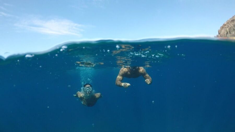 Explore Tenerife with the Snorkel Kit - Marine life you can aim for (and what you should respect)