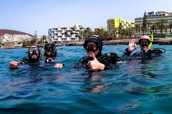 First Dive Experience in Tenerife - Bay of Stingrays: why this area works for first-timers
