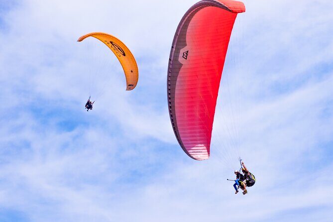 FlyTenerife Paragliding Flight - Key things to know before you go