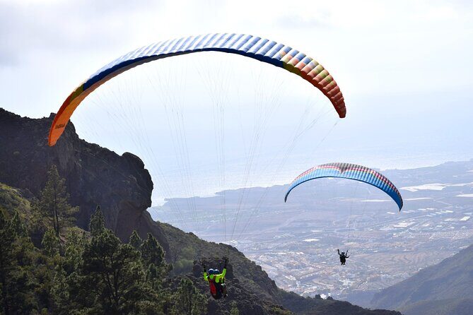 FlyTenerife Paragliding Flight - Photos, Videos, and Customer-Service Reality Checks