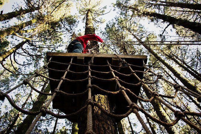 Forestal Park Tenerife Entrance Ticket - Treetop Course Highlights: Tarzan Swings, Ziplines, and High Ropes