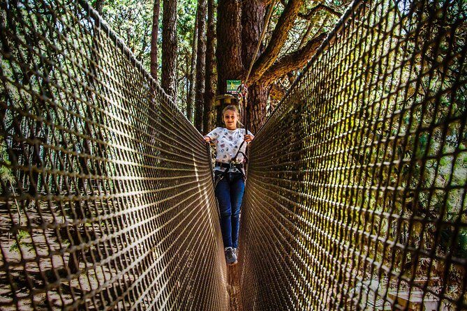 Forestal Park Tenerife Entrance Ticket - Who This Suits Best: Families, First-Timers, and Adrenaline Lovers