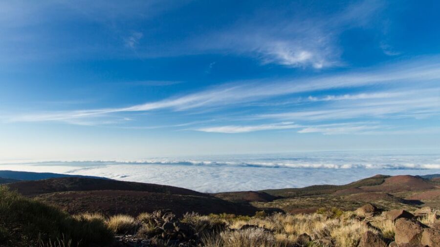 From Playa de las Américas: Full-Day Teide Jeep Safari - Quick takeaways
