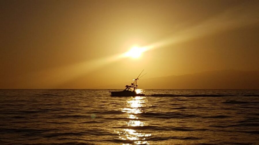 From Puerto Colón: Private Fishing Boat Charter with Lunch - Royal Garden Boat in Puerto Colón: a private start that stays simple