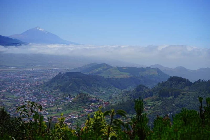 From Puerto de La Cruz: VIP Tour Around Anaga and La Laguna - The volcanic “reading glasses”: roques, dikes, ravines, and cloud cover