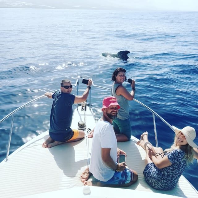 From San Juan beach : Marine Life Cruise - Timing note: 3 hours of sea time plus the human side