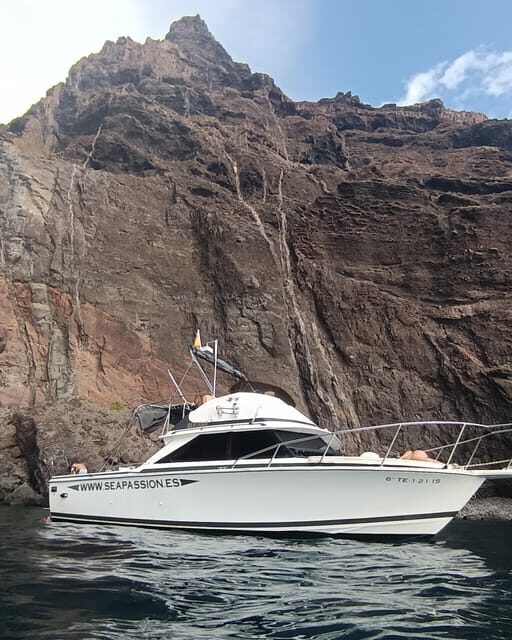 From San Juan beach : Marine Life Cruise - Price and value: what you’re actually paying for