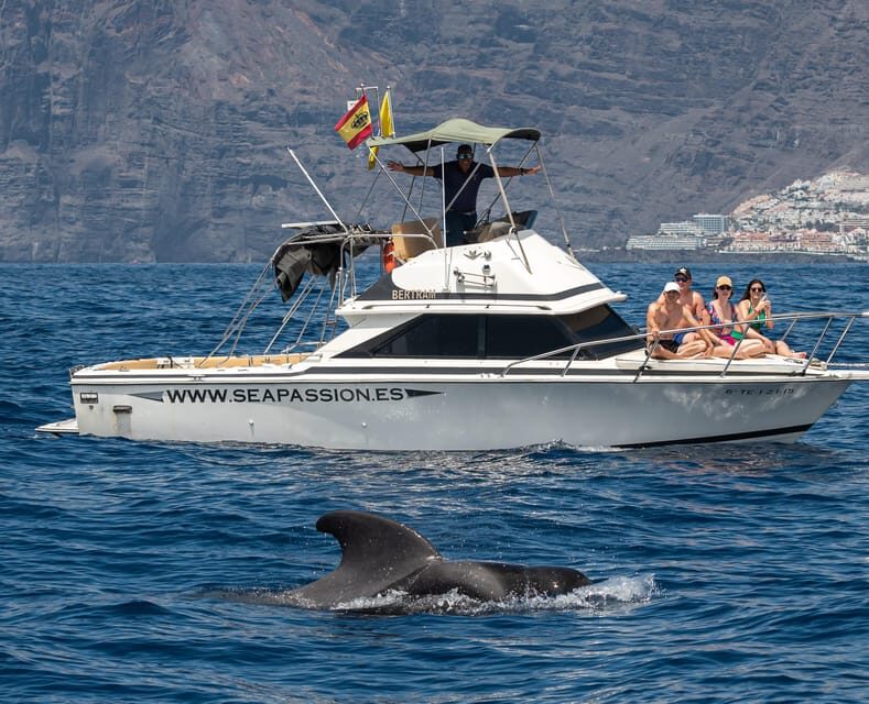 From San Juan beach : Marine Life Cruise - What to bring (and what to skip)