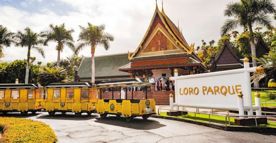 From South Tenerife: Loro Park Zoo Ticket & Hotel Transfers - Katandra TreeTops: Hanging Bridges and Bird-Spotting Trails