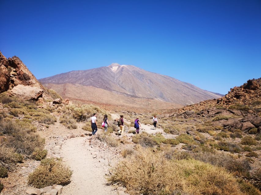 From South Tenerife: Teide National Park Tour - Vilaflor First: Spain’s Highest Town Break