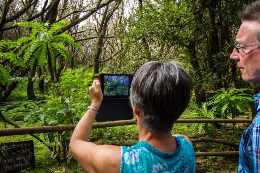 From South Tenerife: VIP Gomera Tour - Whistling language and the New World bridge: history you can point to