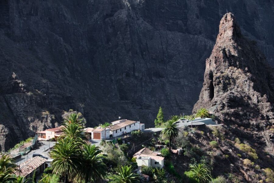 From South Tenerife: VIP Grand Tour Tenerife island - Pickup at 08:20: The One Timing Detail You Should Respect