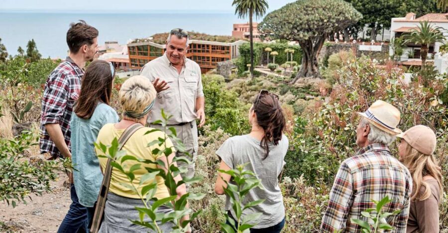 From South Tenerife: VIP Grand Tour Tenerife island - Masca and Its Hamlets: When Tenerife Gets Dramatic