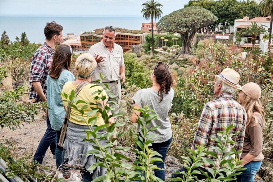 From South Tenerife: VIP Grand Tour Tenerife island - Teide National Park: The UNESCO Stop That Puts Volcanic Tenerife in Context