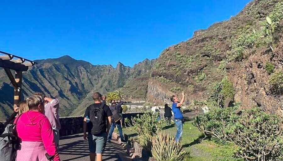 From Tenerife: La Gomera Day Trip with Guide - Garajonay National Park: walking under the laurel forest canopy