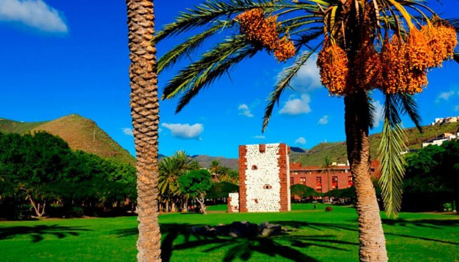 From Tenerife: La Gomera Day Trip with Guide - Lunch plus Silbo Gomero: the whistled language that still lives here